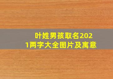 叶姓男孩取名2021两字大全图片及寓意