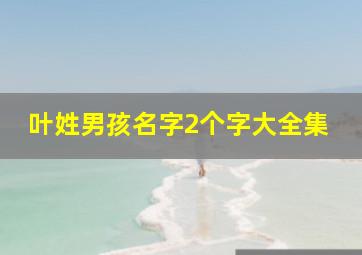 叶姓男孩名字2个字大全集