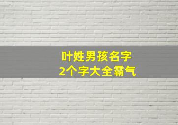 叶姓男孩名字2个字大全霸气