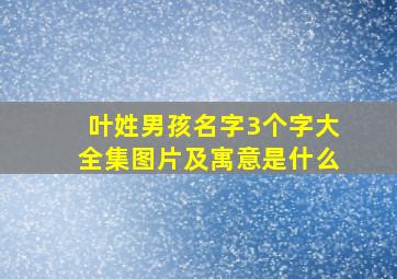 叶姓男孩名字3个字大全集图片及寓意是什么