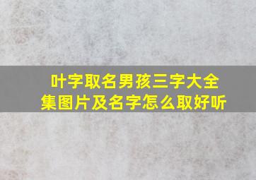 叶字取名男孩三字大全集图片及名字怎么取好听