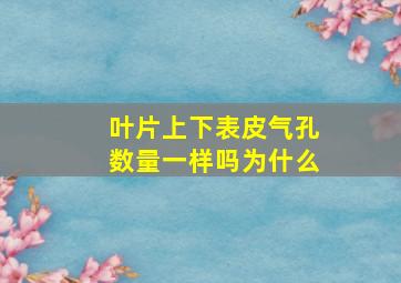 叶片上下表皮气孔数量一样吗为什么