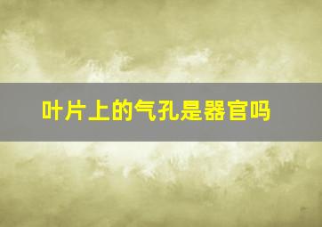 叶片上的气孔是器官吗