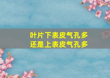 叶片下表皮气孔多还是上表皮气孔多