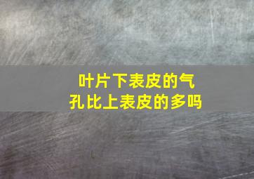 叶片下表皮的气孔比上表皮的多吗