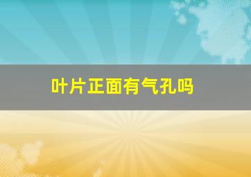 叶片正面有气孔吗