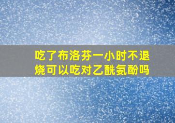 吃了布洛芬一小时不退烧可以吃对乙酰氨酚吗