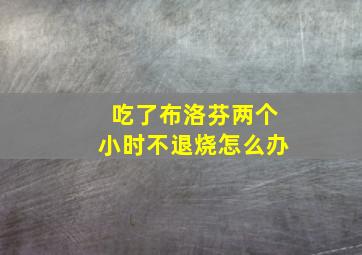 吃了布洛芬两个小时不退烧怎么办