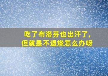 吃了布洛芬也出汗了,但就是不退烧怎么办呀