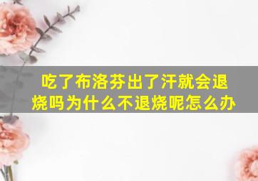 吃了布洛芬出了汗就会退烧吗为什么不退烧呢怎么办