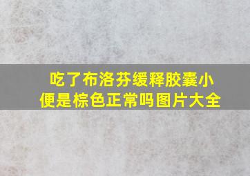 吃了布洛芬缓释胶囊小便是棕色正常吗图片大全