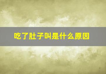 吃了肚子叫是什么原因