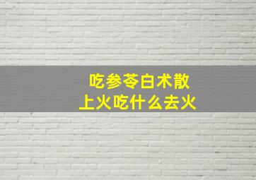 吃参苓白术散上火吃什么去火