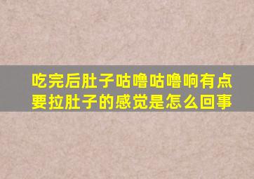 吃完后肚子咕噜咕噜响有点要拉肚子的感觉是怎么回事