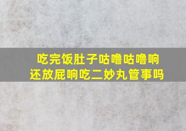 吃完饭肚子咕噜咕噜响还放屁响吃二妙丸管事吗