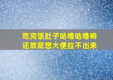 吃完饭肚子咕噜咕噜响还放屁想大便拉不出来