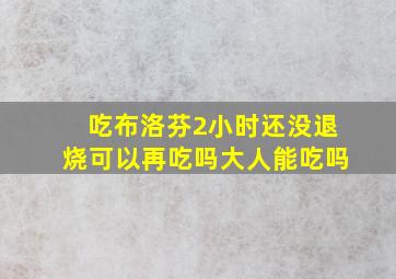 吃布洛芬2小时还没退烧可以再吃吗大人能吃吗