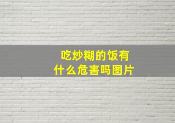 吃炒糊的饭有什么危害吗图片