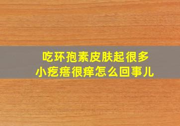 吃环孢素皮肤起很多小疙瘩很痒怎么回事儿