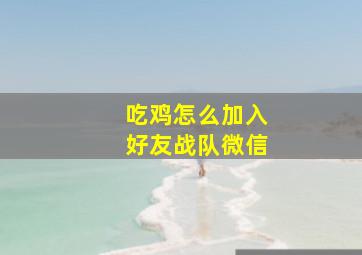 吃鸡怎么加入好友战队微信