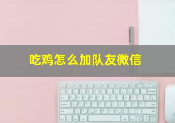 吃鸡怎么加队友微信