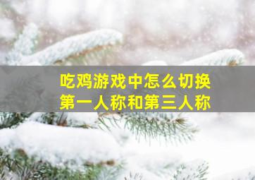 吃鸡游戏中怎么切换第一人称和第三人称