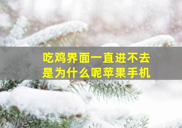 吃鸡界面一直进不去是为什么呢苹果手机