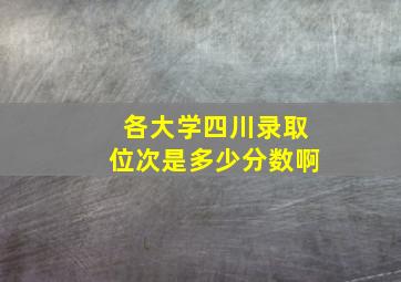 各大学四川录取位次是多少分数啊