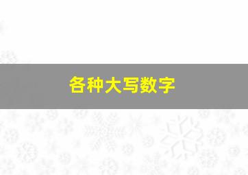 各种大写数字