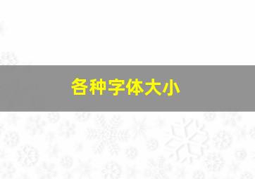 各种字体大小