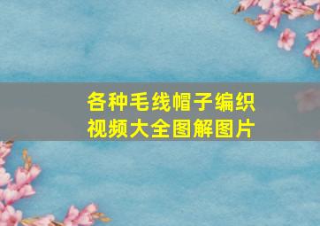 各种毛线帽子编织视频大全图解图片