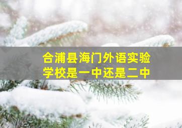 合浦县海门外语实验学校是一中还是二中