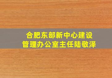 合肥东部新中心建设管理办公室主任陆敬泽