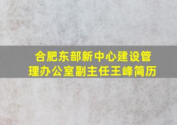 合肥东部新中心建设管理办公室副主任王峰简历