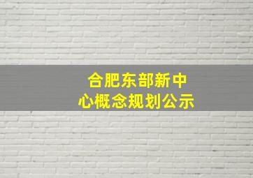 合肥东部新中心概念规划公示