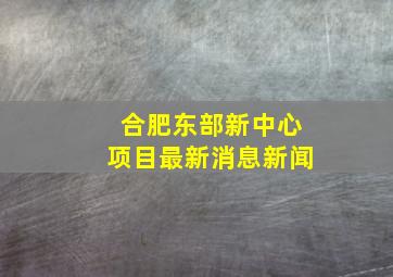 合肥东部新中心项目最新消息新闻