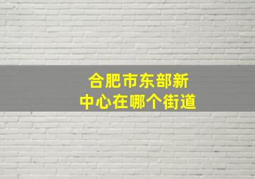 合肥市东部新中心在哪个街道