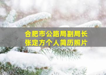 合肥市公路局副局长张定方个人简历照片