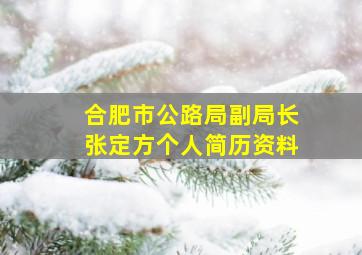 合肥市公路局副局长张定方个人简历资料