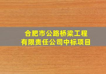 合肥市公路桥梁工程有限责任公司中标项目