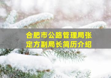 合肥市公路管理局张定方副局长简历介绍