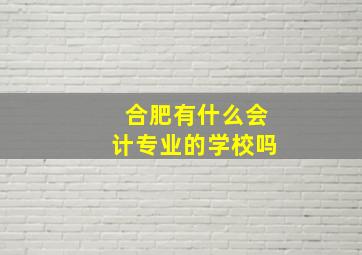 合肥有什么会计专业的学校吗