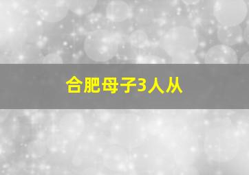 合肥母子3人从