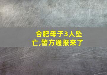 合肥母子3人坠亡,警方通报来了