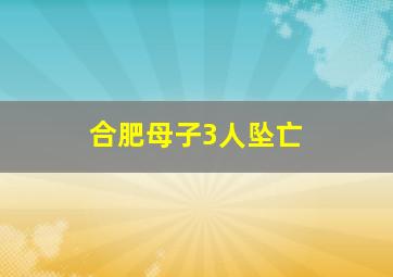 合肥母子3人坠亡