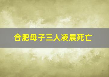 合肥母子三人凌晨死亡