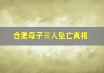 合肥母子三人坠亡真相