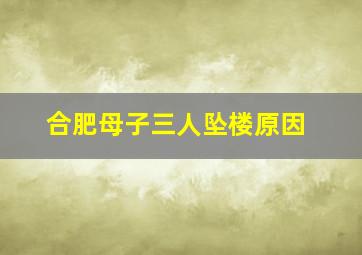 合肥母子三人坠楼原因