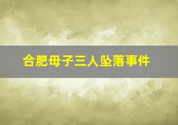 合肥母子三人坠落事件