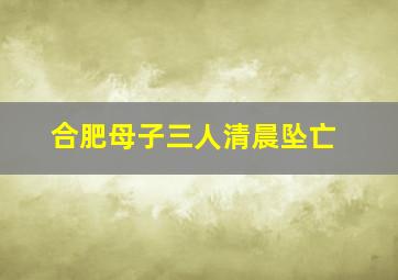 合肥母子三人清晨坠亡